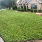 top dressing green healthy lawn nutrients